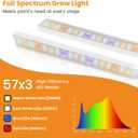 Kullinss White Grow Light, Clip On Plant Lights for Indoor Growing with 6/12/16H Timer, 3 Color Modes, DC Plug, 30W 171 LEDs Full Spectrum Plant Lamp, Grow Lights for Indoor Plants, Herbs, Seedlings