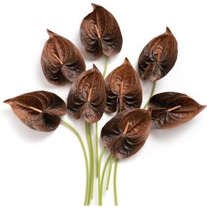 Ling's moment Anthurium Artificial Flowers, 8pcs Faux Anthurium Stems, PU Foam Greenery Plant for DIY Wedding Bouquets Centerpieces Arrangements Bridal Shower Party Home Decorations, Brown