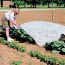 Plant Covers Freeze Protection, 10ft33ft Reusable Rectangle Frost Protection Floating Row Cover Plant Blanket Garden Winterize Cover for Cold Weather Snow