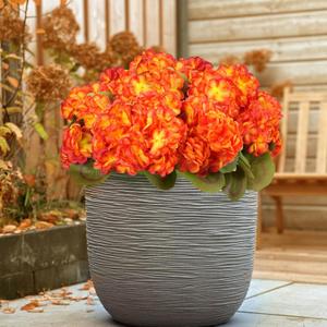 6 Bundles Silk Geraniums Artificial Flowers for Outdoors, UV Resistant Faux Plants Realistic for Garden Patio Porch Window Box Home Indoor Outdoor Decor (6, Orange-Yellow)