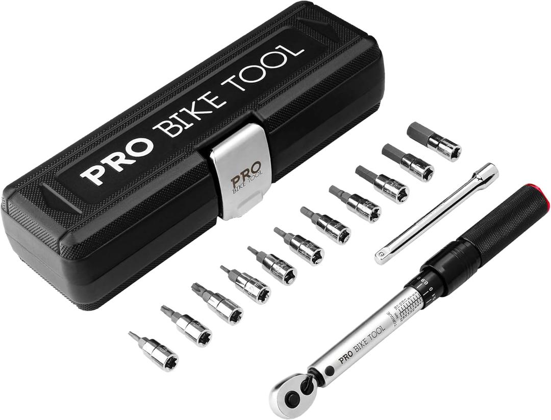 PRO BIKE TOOL Torque Wrench Set for Bikes - High-Precision 1/4 Torque Wrench with Adjustable Torque Range 2 to 20 Nm - Complete Tool Set with Allen and Torx Bits - Durable, Compact Case (Plata Mate)
