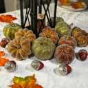 Glitter Mini Pumpkin Decor Indoor 22PCS Halloween Pumpkins for Fall Decorations for Home Fall Centerpieces for Tables Outdoor Harvest Thanksgiving Party/Acorns Autumn Fillers Decor (20 Pcs Green Yellow Orange Pinecones Set)