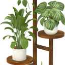 LASZOLA 3 Tiered Wood Plant Stand Indoor Corner, Flower Holder Rack Tall for Multiple Plants, Rustic Planter Shelf Display for Patio Garden Balcony Living Room