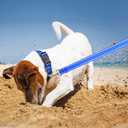 Taglory Dog Leash for Medium Large Dogs, Double-Sided Reflective Leash with Soft Neoprene Padded Handle, 1 inch by 6 ft, Fit Medium Large Breeds 20-150 lbs, Navy Blue