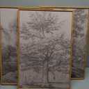 Anyzal Large Vintage Tree Sketchbook Wall Art 16x24 Inch Framed Neutral Forest Landscape Minimalist Woodsy Artwork for Living Room Bedroom Office Set of 3