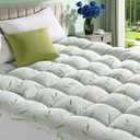3 Inch Mattress Topper - Viscose Made from Bambu,Cooling Soft Pillow Top Mattress Pad Cover for Back Pain,Mattress Protector with 8-21 Inch Deep Pocket (Queen,60"x80") (Green)