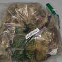 YXCFEWD Costume Chipmunk ears brown big paws Chipmunk tail cosplay party Halloween party costume set