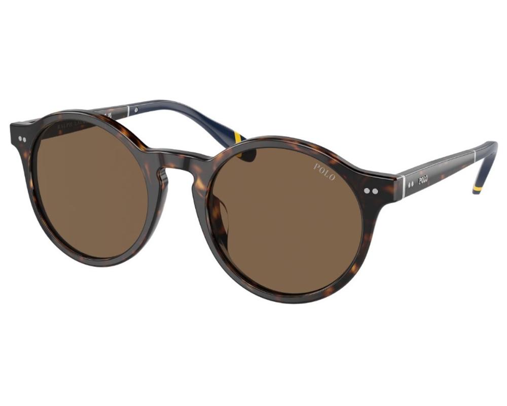 Polo PH 4204U Sunglasses Polo PH 4204U Sunglasses