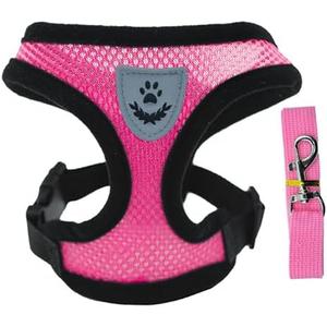 Soft Mesh Nylon Dog Vest Harness with 4ft Leash,Super Breathable Lightweight Safety Reflective Pet Harness for Dog Outdoor Walking,Adjustable Chest Belt with Quick-Release Buckle (Pink, M)