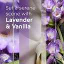 Glade PlugIns Refills Air Freshener, Scented and Essential Oils for Home and Bathroom, Lavender & Vanilla, 3.35 Fl Oz, 5 Count