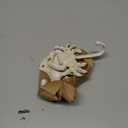 Crab Shell Starfish Coat Hooks, Beach Marine Style Wall Hooks Coat Hooks for Towel, Key, Robe, Coats, Scarf, Bag, Cap, Coffee Cup, Mugs Nautical Coat Hook Ocean Décor 3 Pieces