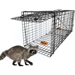 Live Humane Animal Trap, 32" x 11" x 12" Heavy Duty Humane Animal Cage Trap Catch and Release, Foldable Cat Trap for Stray Cats, Raccoons, Groundhogs, Opossums, Armadillos, and Similar-Sized Animals