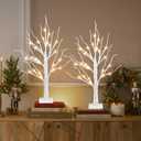 PEIDUO Christmas Decorations Indoor, 2 FT Birch Tree with LED Lights, Fairy Light Spirit Tree for Christmas Decor, Warm White Lighted Birch Trees for Home Decor Indoor, Battery Powered, Timer (2PK)