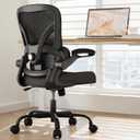 Office Chair, 330lbs Desk Chair with 3-Level Adjustable Lumbar Support & Flip-up Armrests, Executive Computer Chairs for Home Office, Black