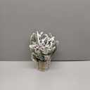 ZYZEV Artificial Poinsettias Christmas Flowers with Red Berry Pine Cone Branches Linen Base,12 Faux Poinsettias Plants for Home Office Table Fireplace Winter Indoor Christmas Decorations Red (3in)