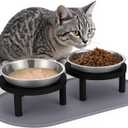 Elevated Cat Bowls with Food Mat,6.3 Inches Shallow Raised Bowls Whisker Friendly,2 Stainless Steel Cat Food and Water Dishes for Cats and Puppies,Dishwasher Safe(Black)