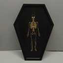 Halloween Decorations Coffin Charcuterie Board in Bamboo Wood with Macabre Skeleton Design - Gothic Theme Trays for Spooky Snacks and Appetizers (15.6" x 11" x 0.8")