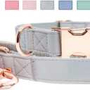 Soft Leather Dog Collar and Leash (6.6') Set - Stylish Rose Gold Heavy Duty Metal Buckle, 4 Adjustable Lengths Leash for Small Medium Large Dogs - Comfortable & Easy to Clean Grey S(12.2"-16.9")