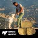 ORIJEN Grain Free High Protein Freeze Dried Dog Treats Ranch-Raised Beef Recipe 3.25oz Bag (3.25 Ounce (Pack of 1))