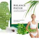 Herbal Patch Pad Balance, Mugwort Herbal Navel Patches (1Box 5 Piece)