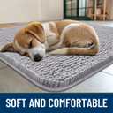 Smiry Dog Door Mat for Muddy Paws 36x24, Absorbs Moisture and Dirt Doormat, Non-Slip Washable Quick Dry Chenille Front Door Mat Indoor Entrance, Entryway Carpet for Inside Floor, Light Grey