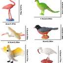 Birds Figurines, 23pcs Realistic Eagle Parrot Robin Owl Toy Bird, Fairy Garden Accessories, Learning Educational Toys for Dollhouse Birthday Cake Topper Gift for Kids Toddler