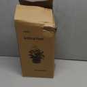 AlphaAcc Artificial Succulents Plants Decor Greenery Fake Succulents Indoor Potted Fake Plant with Rustic Black Clay Planter for Farmhouse Room Bathroom Bedroom Kitchen Office Dese Coffee Table Decor (12.8" H)