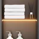 12" X 24" Stainless Steel Shower Niche with LED Lights, Matte Black Double Shelves Recessed Shower Niche No Tile Needed for Bathroom/Bedroom Storage, W12" x H24"