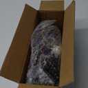 Rear Brake Light Replacement for Tacoma 2001 2002 2003 2004 TO2800139 8156004060 Tail Light Lamp Brake Stop Turn Signal Right Passengers Side