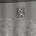 Didaey 50 Pcs Small Clear Vials Spice Mini Jars with Lids Mini Glass Bottles with Screw Aluminum Metal Caps Tiny Jars Sample Containers for Powder Cream Cosmetic Jewelry Wedding (10 ml,Silver Caps)