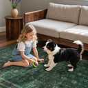 Moynesa Green 8x10 Living Room Rug, Vintage Washable Area Rug for Bedroom Dining Room Office, Low Pile Soft Non-Slip Retro Accent Carpets for Kitchen Indoor Nursery