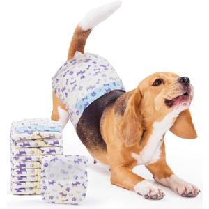 MICOOYO Disposable Dog Diapers Female, Doggie Diapers for Dogs Female, Super Absorbent Pet Diaper with Foam Tail Hole for Heat, Comfortable Puppy Diaper (Medium, 20Count)