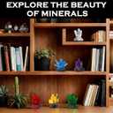 Easter Basket Stuffers for Adults, 564PCS Geology Crystal Collection Kit with 6 Gems Models  Home and Office Decor for Adult, Elegant Desk Dcor & Easter Gift for Men & Women
