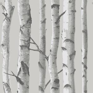 NuWallpaper NU1694 Mountain Birch Peel & Stick Wallpaper, Grey (Gray)