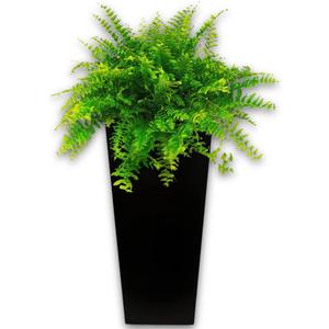 Elly Dcor 22 inch Tall Plastic Planter with Drainage, Large Square Modern Pot, Lightweight,Extremely Durable for Outdoor, Indoors 22" x 12" Black