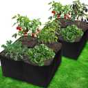 Gardzen 2 Pack Fabric Raised Garden Beds, 2x2x1 FT – 4 Grids Grow Bed for Square Foot Gardening, Planting Box for Vegetables, Herbs, Flowers