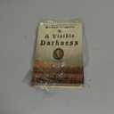 A Visible Darkness: A Mystery