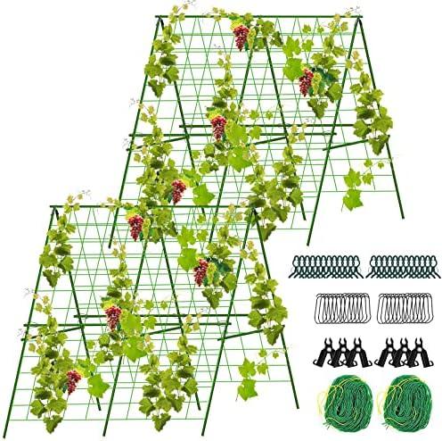 TOCCYARD 2 Sets 48”x 48”Foldable Cucumber Trellis Set, A-Frame Garden Trellis for Climbing Plant Outdoor, Detachable Cucumber Trellis for Raised Bed, Plant Grow Support for Tomato, Squash, Vegetable