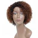 HUA Short Wigs for Black Women Human Hair Ombre Color Kinky Curly Short Brown Wig with bangs Brazilian Colored Curly Human Hair Wig None Lace Front Wigs Glueless (8 Inch)