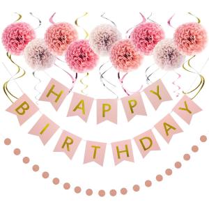 Rose Gold Birthday Decorations Kit - 20-Pc Set with Pre-Strung Happy Birthday Banner, Tissue Paper, Garland & Swirls | Rose Gold Party Supplies for Women Girls Baby Shower