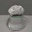 Momcozy Bottle Warmer, Fast Bottle Warmers for All Bottles with Timer, Accurate Temperature Control and Automatic Shut-Off, Multifunctional Bottle Warmer for Breastmilk (Green+White)