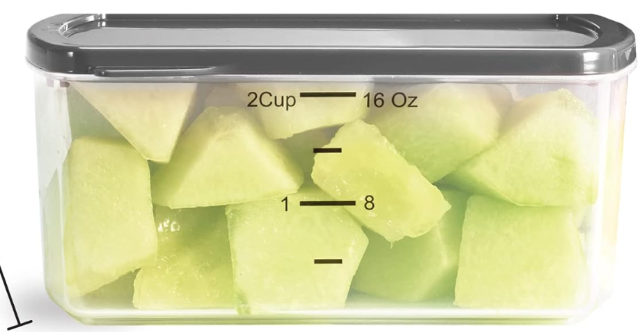 Fit & Fresh 2 PCS Small Plastic Containers With Lids 16 oz, Small Snack Containers With Lids For Adults and Kids, Reusable Leakproof Dressing and Condiment Containers With Two Attachable Ice Packs