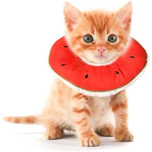 Kitten Cones After Surgery 0-6 Months, Donut Extra Small Kitten Cone Collar Soft to Stop Licking Neck, Elizabethan e Collar for Recovery, xs Small Cat Cone Spray, Pet Soft Cone for Cats Watermelon S