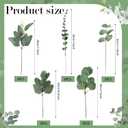 Ceenna 30 Pcs 6 Kinds Mixed Greenery Stem Artificial Faux Eucalyptus Leaves Silver Dollar Eucalyptus Picks and Sprays for Vase Dried Fake Greenery Filler Leaves Bundle for Wedding Floral Arrangement