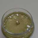 Yankee Candle Sage & Citrus Scented Classic 22oz Large Jar Single Wick Candle Over 110 Hours of Burn Time Ideal for Home Decor and Gifts