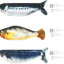 3 Pack Realistic Flopping Fish Cat Toys, Soft Chew Kicker Cat Toys for Indoor Cats & Kittens, Interactive Chew & Kicker Toys, Sardine/Saury/Yellow Croaker, Pet Chew Toy for All Breeds