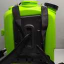 Battery Powered Backpack Sprayer 4 Gallon, Electric Garden Sprayer in Lawn