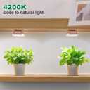 FOXGARDEN 2-Head Grow Light for Indoor Plant, 10W Full Spectrum Plant Light with Auto Timer, Hanging or Ceiling Lamp for Shelves and Indoor Gardens