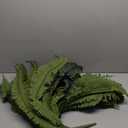 Artificial Ferns for Outdoors, Bouquets 33" Diam Large Fake Ferns 37 Fronds Faux Boston Fern Bush Plant for Indoors Home Garden Porch Windowsill Entrance Farmhouse Décor