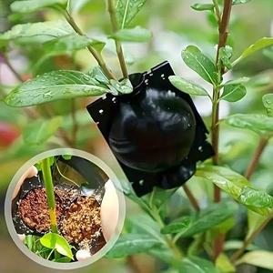 10Pcs Plant Propagation Box - Elevating Rooting Performance with Advanced Pressure Design,Plant Propagation Rooting Chamber, Air Layering & Grafting Supplies Black